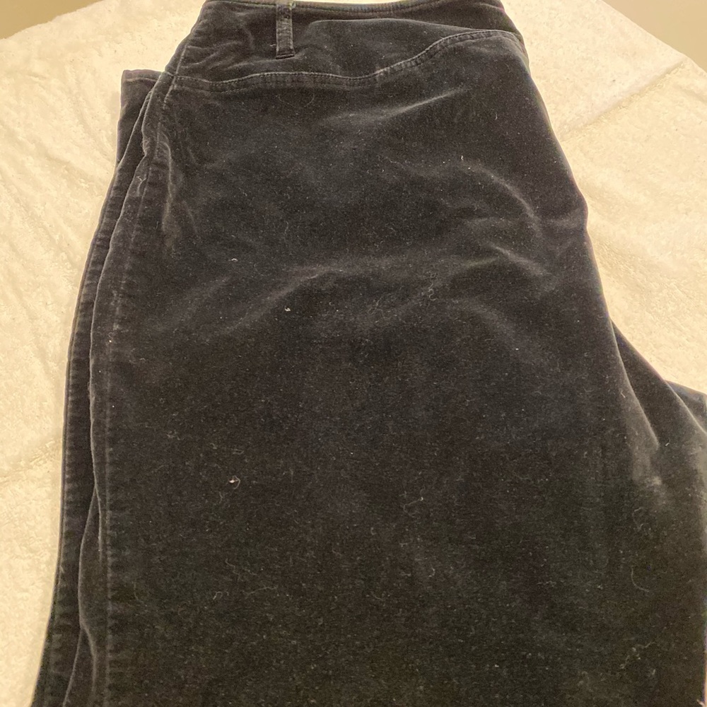 Black velvet pants - lane Bryant Venezia